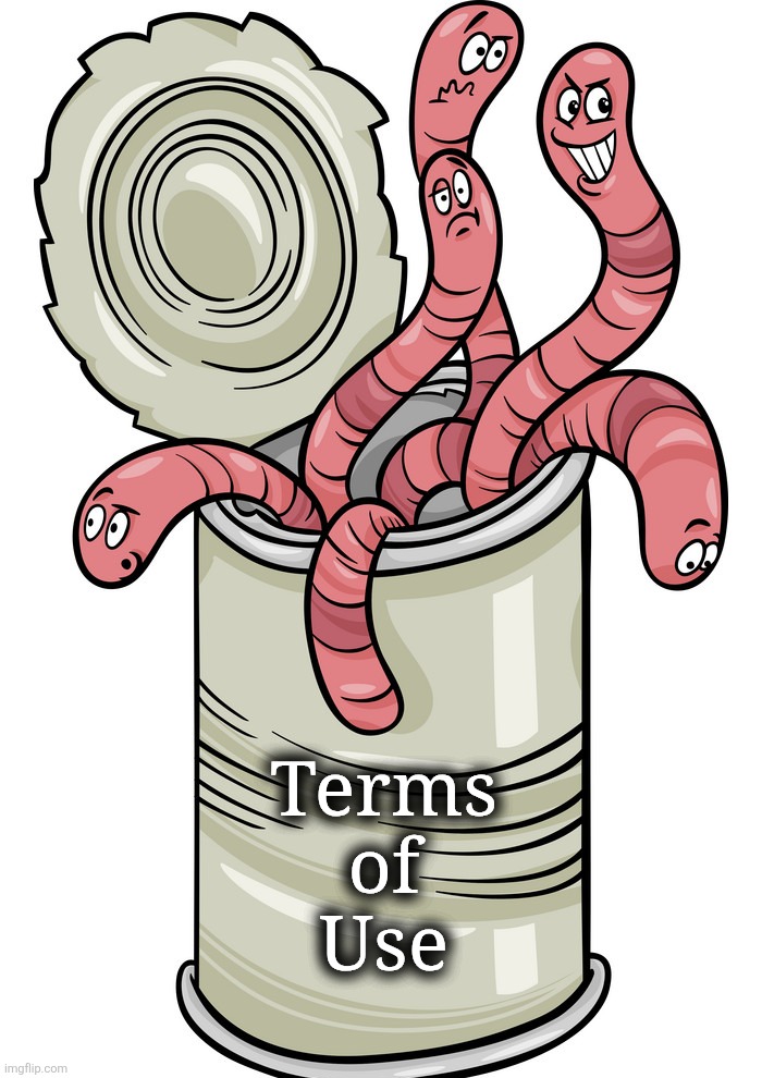 can of worms | Terms
of
Use | image tagged in can of worms | made w/ Imgflip meme maker