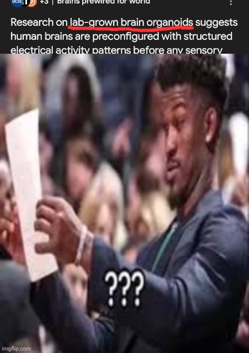 image tagged in guy reading paper confused | made w/ Imgflip meme maker