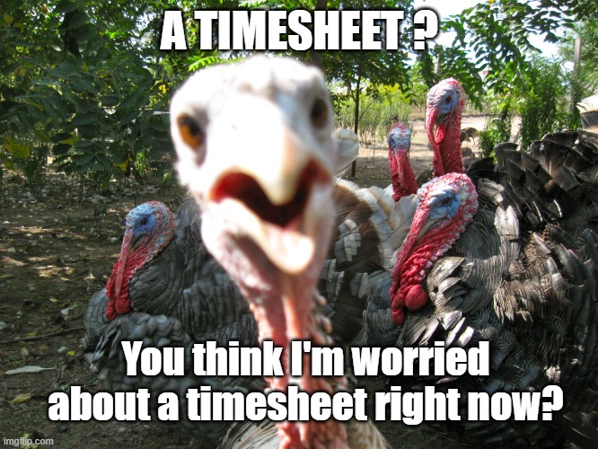 Thanksgiving Timesheet | A TIMESHEET ? You think I'm worried about a timesheet right now? | image tagged in turkeys,thanksgiving,timesheet reminder | made w/ Imgflip meme maker