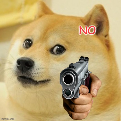 Doge Meme | NO | image tagged in memes,doge | made w/ Imgflip meme maker