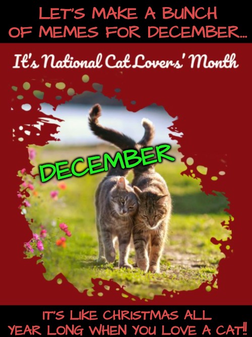Cat Lovers' Month is Coming Up | LET'S MAKE A BUNCH OF MEMES FOR DECEMBER... DECEMBER; IT'S LIKE CHRISTMAS ALL YEAR LONG WHEN YOU LOVE A CAT!! | image tagged in cats are awesome,cat lovers' month | made w/ Imgflip meme maker