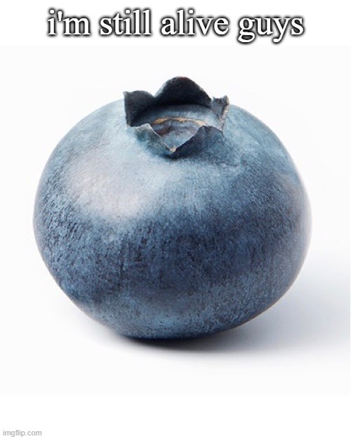 I haven't got ANYTHING done guys all upcoming animations are being delayed until NEXT Christmas | i'm still alive guys | image tagged in blueberry | made w/ Imgflip meme maker