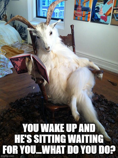 Hey Goat | YOU WAKE UP AND HE'S SITTING WAITING FOR YOU...WHAT DO YOU DO? | image tagged in cursed image | made w/ Imgflip meme maker