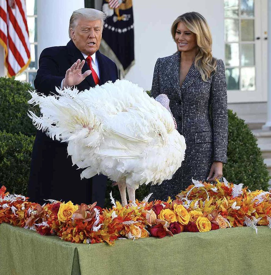 Trump Blank Meme Template