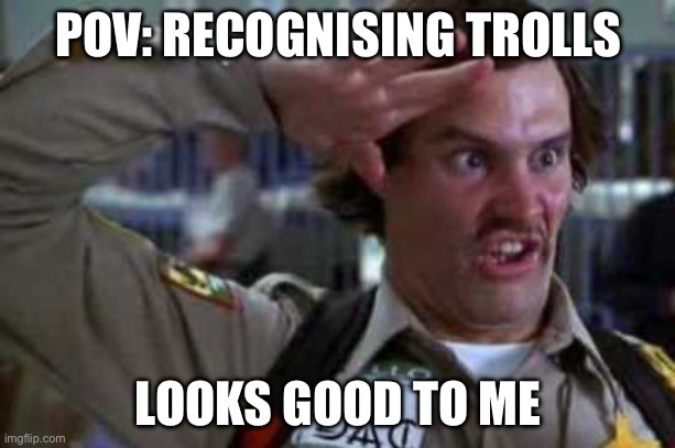 Doofus | POV: RECOGNISING TROLLS; LOOKS GOOD TO ME | image tagged in doofus | made w/ Imgflip meme maker