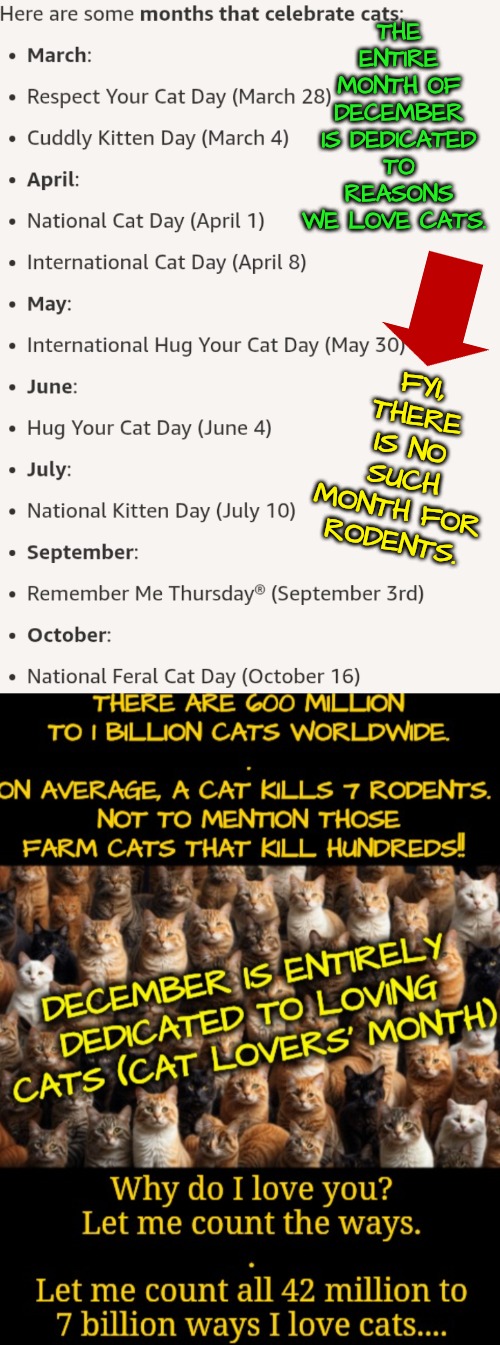 BREAKING NEWS: the cat is celebrated more than a rodent & more than Santa Claws. Here is why... | THE ENTIRE MONTH OF DECEMBER IS DEDICATED TO REASONS
WE LOVE CATS. FYI, THERE IS NO SUCH MONTH FOR RODENTS. | image tagged in breaking news,cats are awesome rodents are not | made w/ Imgflip meme maker