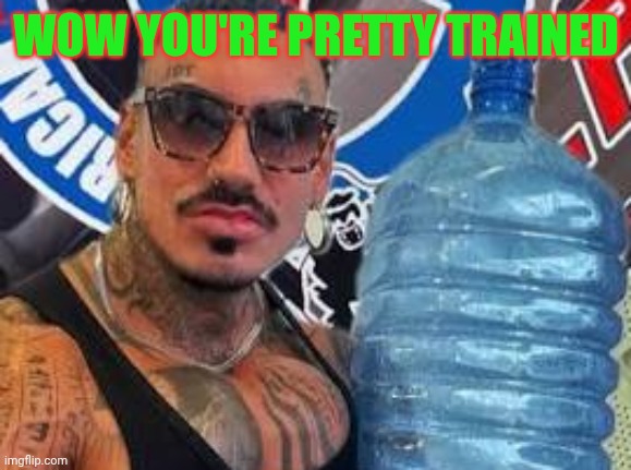 WOW YOU'RE PRETTY TRAINED | made w/ Imgflip meme maker