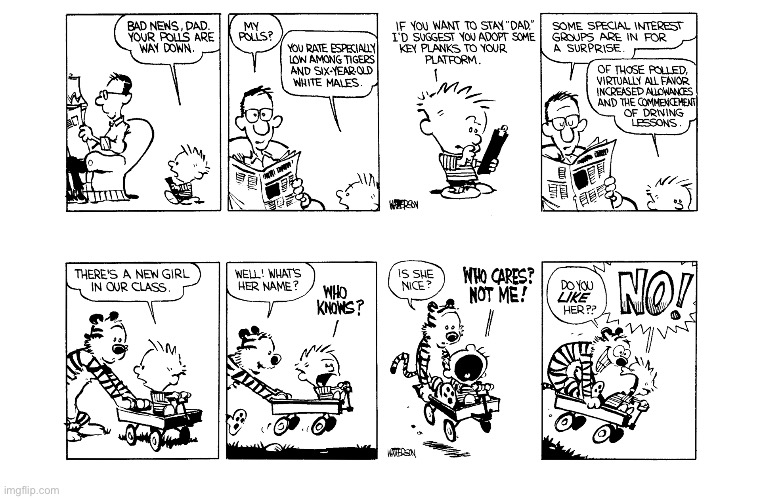 “The Dad Poll” & “The New Girl” | image tagged in calvin and hobbes,comics,twofer,new girl,dad poll | made w/ Imgflip meme maker