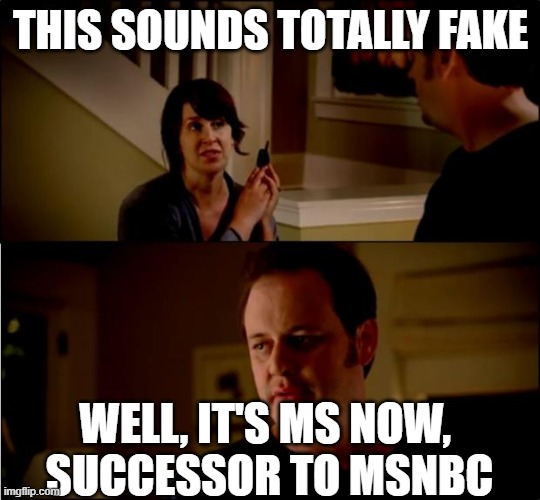 New Name, Same Leftist Slant | THIS SOUNDS TOTALLY FAKE; WELL, IT'S MS NOW, 
SUCCESSOR TO MSNBC | image tagged in ms now,msnbc,fake news,state farm chick | made w/ Imgflip meme maker
