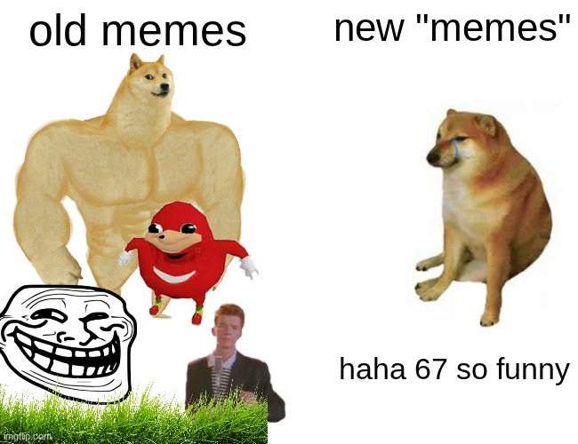 what happened to the internet? | old memes; new "memes"; haha 67 so funny | image tagged in memes,buff doge vs cheems | made w/ Imgflip meme maker