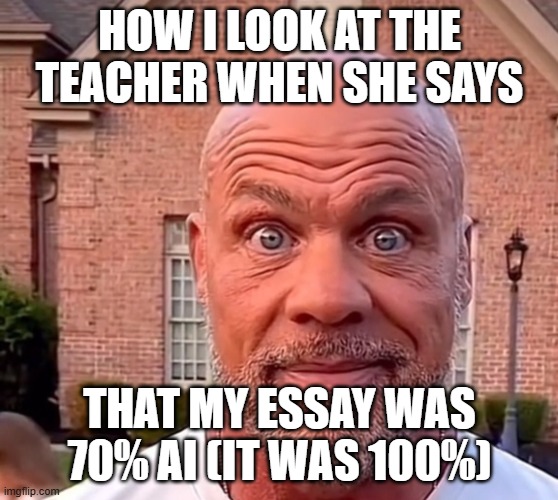 How i look at bro | HOW I LOOK AT THE TEACHER WHEN SHE SAYS; THAT MY ESSAY WAS 70% AI (IT WAS 100%) | image tagged in how i look at bro | made w/ Imgflip meme maker