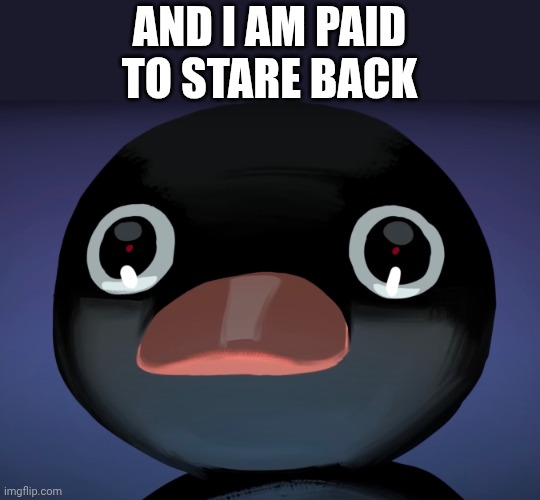 Pingu stare | AND I AM PAID TO STARE BACK | image tagged in pingu stare | made w/ Imgflip meme maker