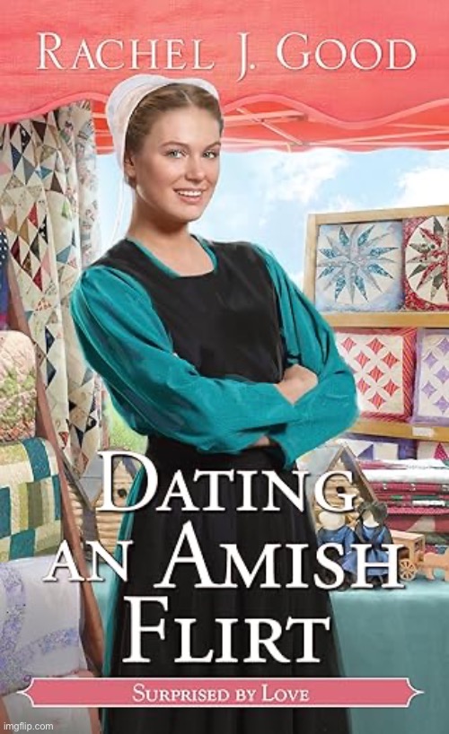 I hope this is fake | image tagged in fake,books,romance,amish | made w/ Imgflip meme maker