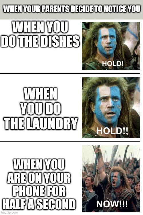 Sad | WHEN YOUR PARENTS DECIDE TO NOTICE YOU; WHEN YOU DO THE DISHES; WHEN YOU DO THE LAUNDRY; WHEN YOU ARE ON YOUR PHONE FOR HALF A SECOND | image tagged in hold hold now,parents,phone,dishes,laundry,stop reading the tags | made w/ Imgflip meme maker