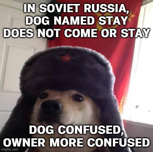 IN SOVIET RUSSIA, DOG NAMED STAY DOES NOT COME OR STAY | IN SOVIET RUSSIA, DOG NAMED STAY DOES NOT COME OR STAY; DOG CONFUSED, OWNER MORE CONFUSED | image tagged in russian doge,dogs,doge,in soviet russia,russia,soviet union | made w/ Imgflip meme maker