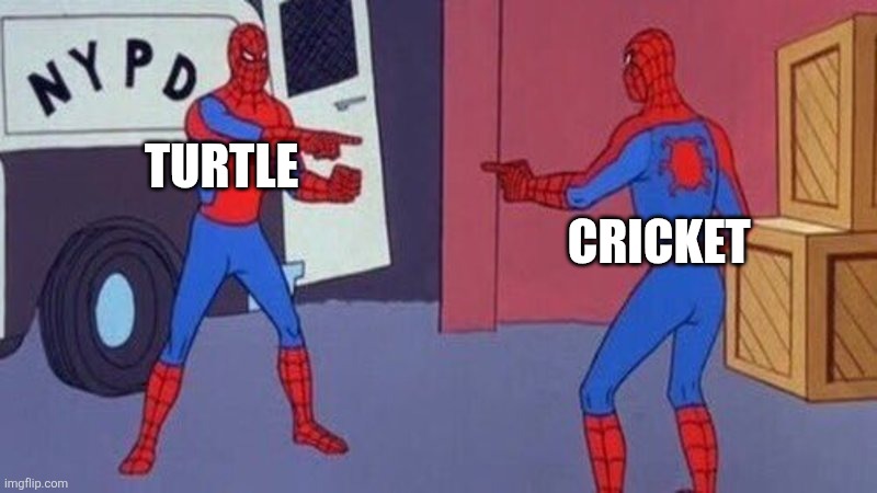 spiderman pointing at spiderman | TURTLE; CRICKET | image tagged in spiderman pointing at spiderman | made w/ Imgflip meme maker