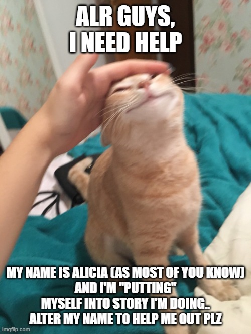 YALL HELP ME PLZ | ALR GUYS, I NEED HELP; MY NAME IS ALICIA (AS MOST OF YOU KNOW)
AND I'M "PUTTING" MYSELF INTO STORY I'M DOING.. ALTER MY NAME TO HELP ME OUT PLZ | image tagged in cat pat | made w/ Imgflip meme maker