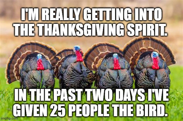 The Bird | I'M REALLY GETTING INTO THE THANKSGIVING SPIRIT. IN THE PAST TWO DAYS I'VE GIVEN 25 PEOPLE THE BIRD. | image tagged in the bird | made w/ Imgflip meme maker