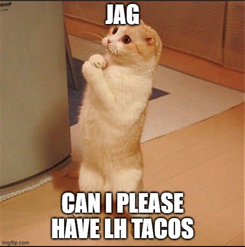 Can I Has Food | JAG; CAN I PLEASE HAVE LH TACOS | image tagged in can i has food | made w/ Imgflip meme maker