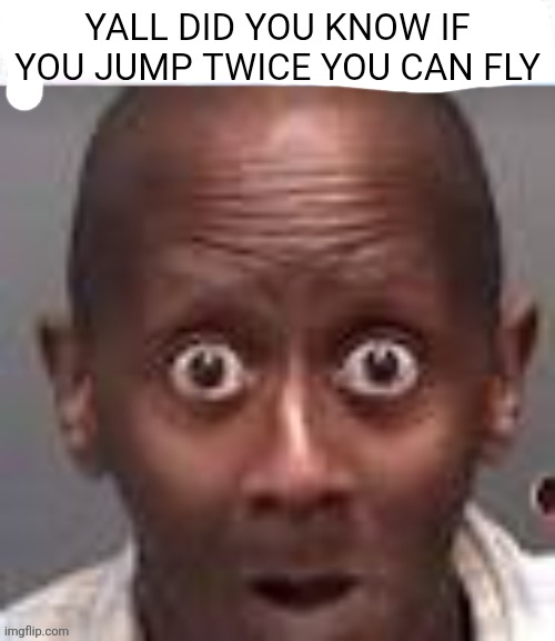 Gadzooks | YALL DID YOU KNOW IF YOU JUMP TWICE YOU CAN FLY | image tagged in gadzooks | made w/ Imgflip meme maker