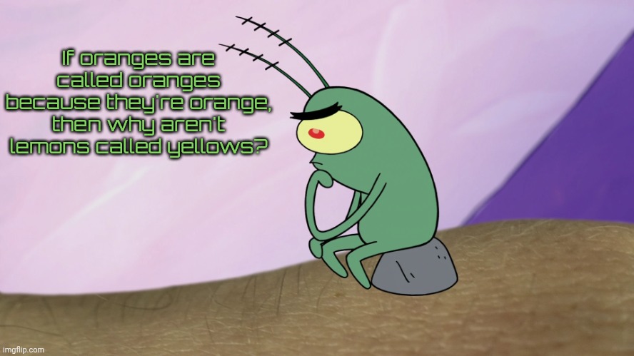 Thinkton | If oranges are called oranges because they're orange, then why aren't lemons called yellows? | image tagged in thinkton | made w/ Imgflip meme maker