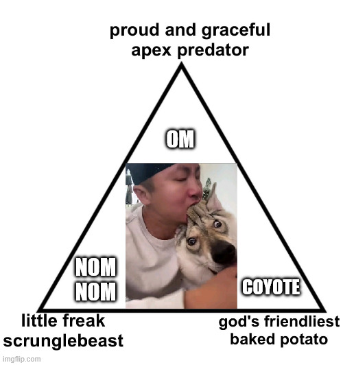 Triangles are Love | OM; NOM NOM; COYOTE | image tagged in coyote | made w/ Imgflip meme maker