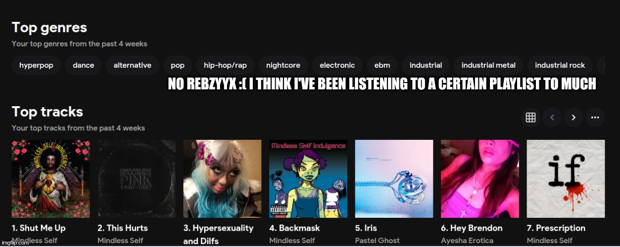But here is my music taste - I also love MSI - Ayesha erotica - and Rebzyyx - but Rebzyyx is my fav | NO REBZYYX :( I THINK I'VE BEEN LISTENING TO A CERTAIN PLAYLIST TO MUCH | made w/ Imgflip meme maker