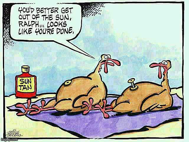He’ll be moist and delicious… | image tagged in repost,comics,turkeys,suntan lotion,hes done | made w/ Imgflip meme maker