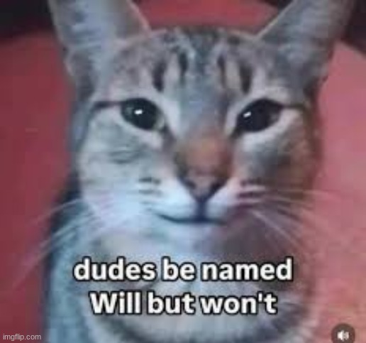 Starting now i will try to be more active for the 37 days i have left. | made w/ Imgflip meme maker