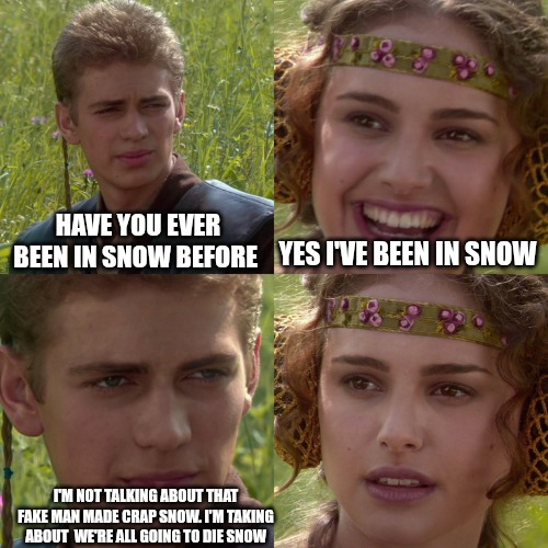 Anakin Padme 4 Panel | HAVE YOU EVER BEEN IN SNOW BEFORE; YES I'VE BEEN IN SNOW; I'M NOT TALKING ABOUT THAT FAKE MAN MADE CRAP SNOW. I'M TAKING ABOUT  WE'RE ALL GOING TO DIE SNOW | image tagged in anakin padme 4 panel | made w/ Imgflip meme maker