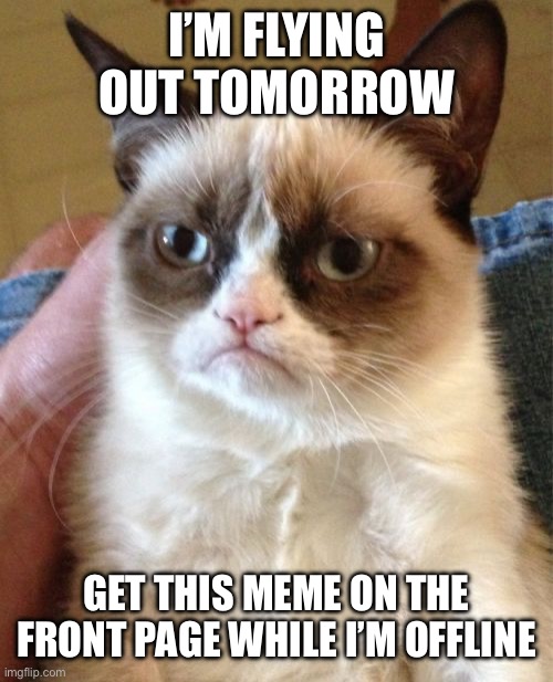 image title | I’M FLYING OUT TOMORROW; GET THIS MEME ON THE FRONT PAGE WHILE I’M OFFLINE | image tagged in memes,grumpy cat,airplane,funny,relatable,cats | made w/ Imgflip meme maker