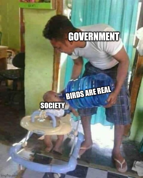 Idk how to caption this | GOVERNMENT; SOCIETY; BIRDS ARE REAL | image tagged in water jug baby,conspiracy | made w/ Imgflip meme maker