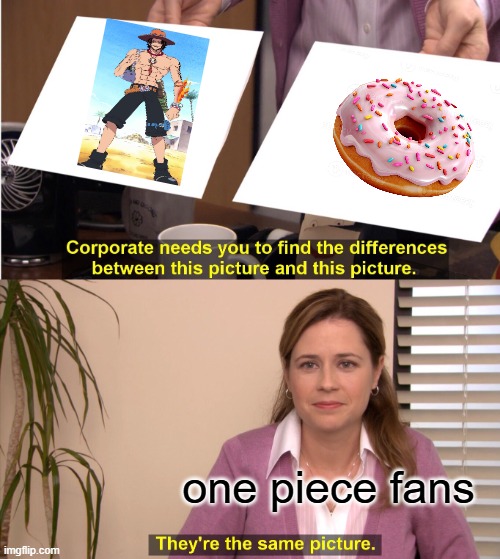 They're The Same Picture Meme | one piece fans | image tagged in memes | made w/ Imgflip meme maker