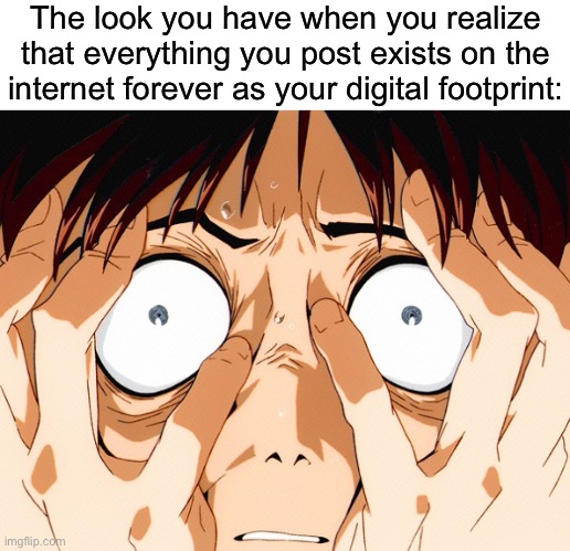 *cough* Domingo77 *cough* | The look you have when you realize that everything you post exists on the internet forever as your digital footprint: | image tagged in despair | made w/ Imgflip meme maker