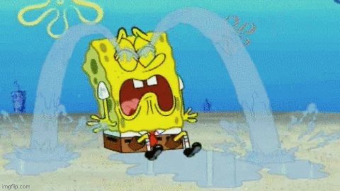 image tagged in spongebob crying | made w/ Imgflip meme maker