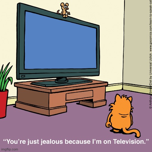 Learn to Speak Cat | image tagged in cats,comics,learn to speak cat,mouse,jealous,on tv | made w/ Imgflip meme maker