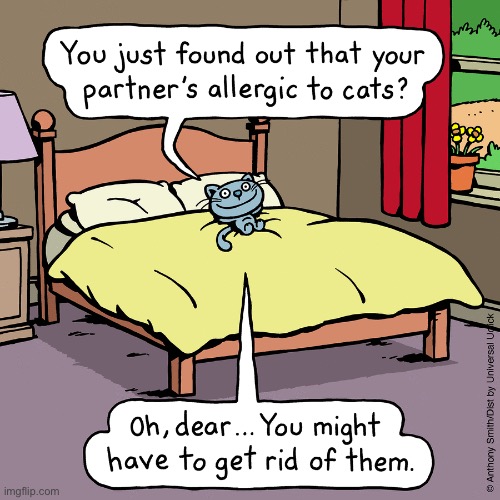 Cattitude | image tagged in cats,cattitude,bed,allergic,partner,get rid of them | made w/ Imgflip meme maker