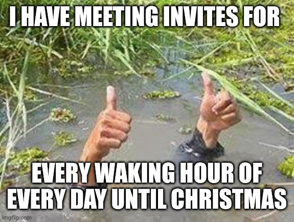 Buckle up, it's the end of the year! | I HAVE MEETING INVITES FOR; EVERY WAKING HOUR OF EVERY DAY UNTIL CHRISTMAS | image tagged in flooding thumbs up,memes,over-scheduled,calendar invites,before christmas,over-socialized | made w/ Imgflip meme maker