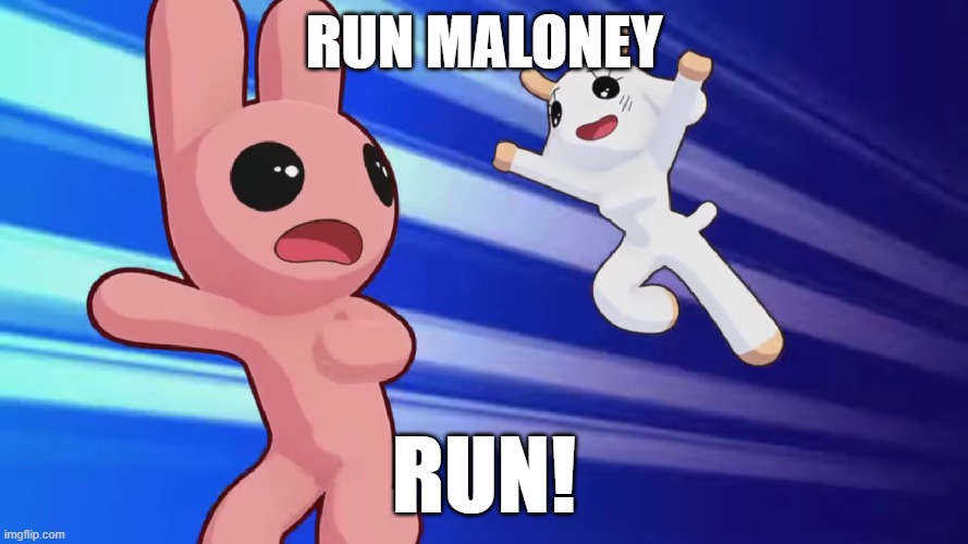RUN | RUN MALONEY; RUN! | image tagged in bunny maloney,cartoon,image macro,running,charlote,furry memes | made w/ Imgflip meme maker