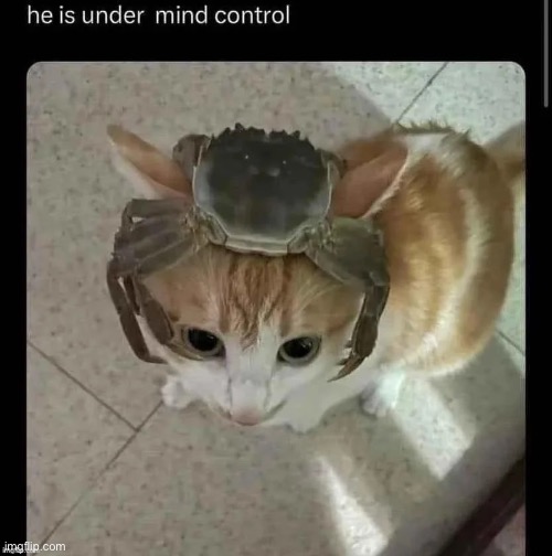 literally half life | made w/ Imgflip meme maker