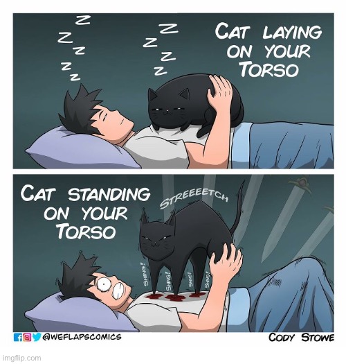 WeFlaps… like a mini Wolverine… | image tagged in cats,comics,weflaps,laying on torso,standing on torso,blood was shed | made w/ Imgflip meme maker