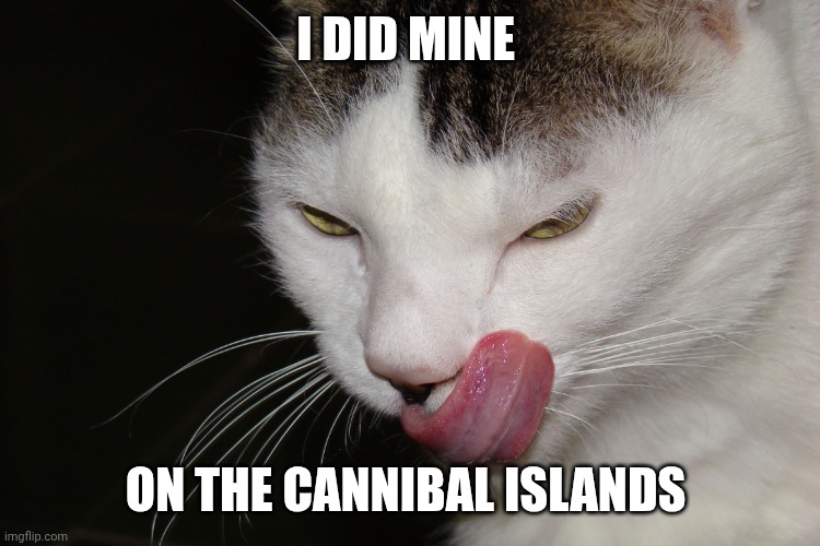 YUMMY | I DID MINE ON THE CANNIBAL ISLANDS | image tagged in yummy | made w/ Imgflip meme maker