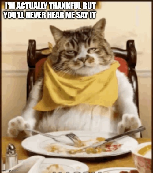 Grumpy cat won't admit that he's thankful, but he is. HAPPY THANKSGIVING | I'M ACTUALLY THANKFUL BUT YOU'LL NEVER HEAR ME SAY IT | image tagged in cat,kittens,humor,funny,thanksgiving,turkey | made w/ Imgflip meme maker