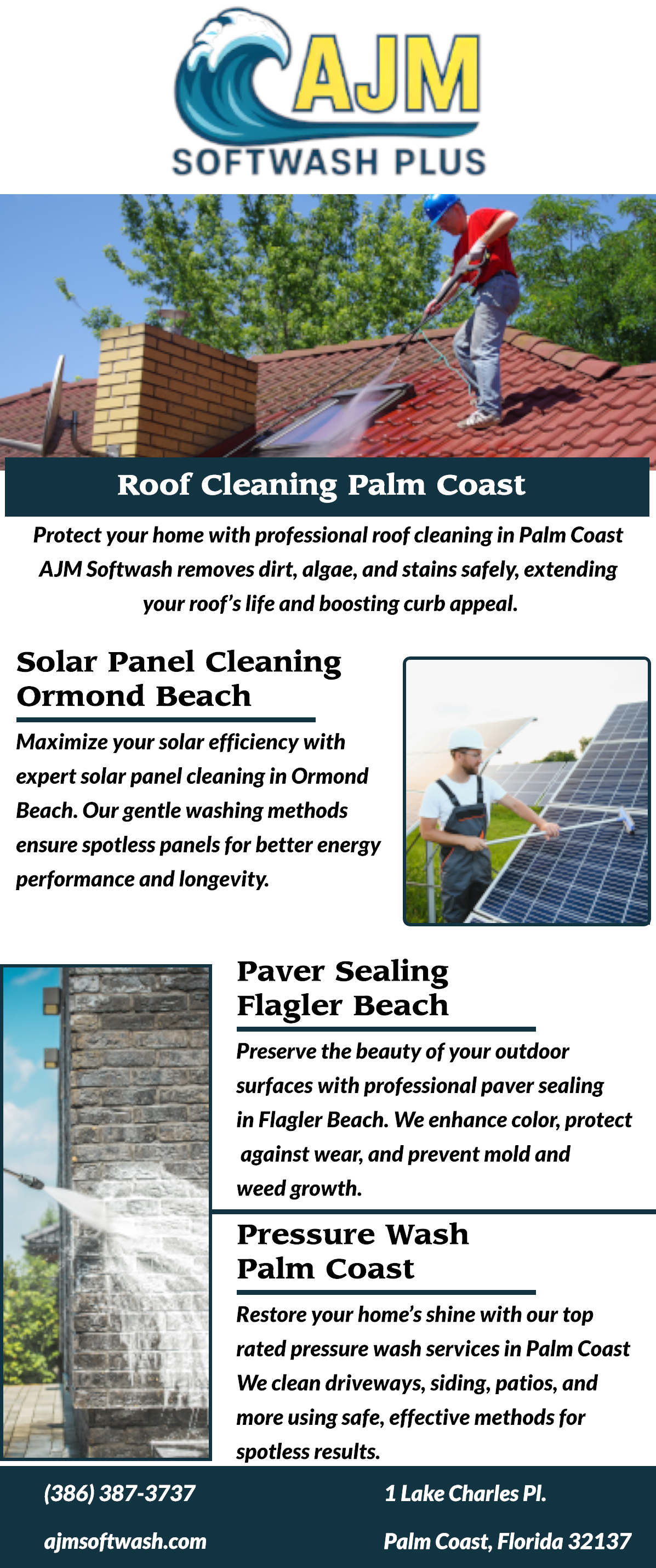 Roof Cleaning Palm Coast Blank Meme Template
