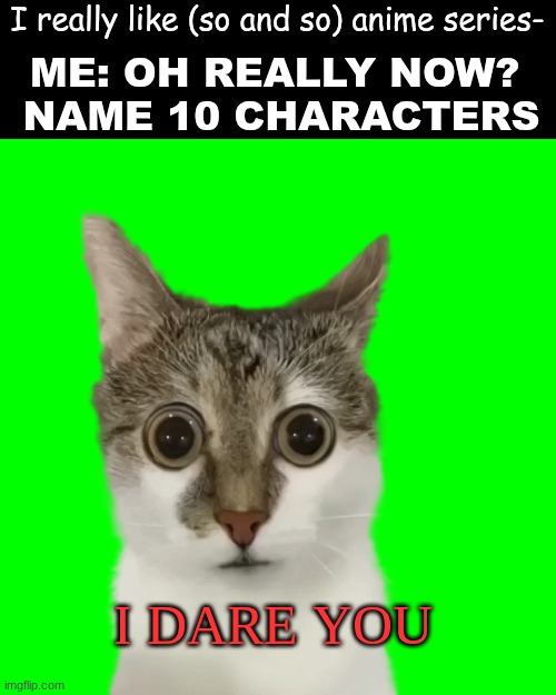 I can only say with confidence that I could name more than 10 characters in only about eight shows | I really like (so and so) anime series-; ME: OH REALLY NOW?  NAME 10 CHARACTERS; I DARE YOU | image tagged in name it | made w/ Imgflip meme maker