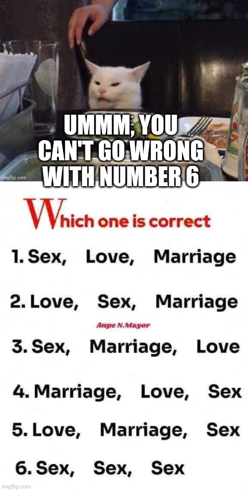 UMMM, YOU CAN'T GO WRONG WITH NUMBER 6 | image tagged in smudge that darn cat | made w/ Imgflip meme maker
