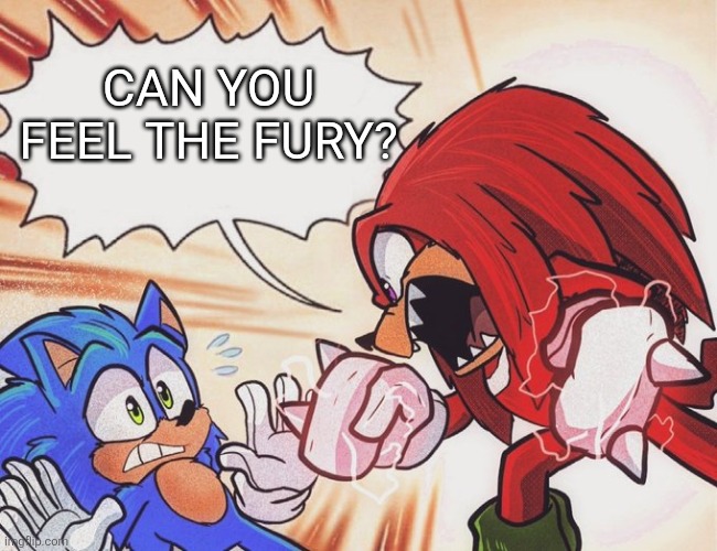 Feeling the fury | CAN YOU FEEL THE FURY? | image tagged in knuckles yelling at sonic | made w/ Imgflip meme maker