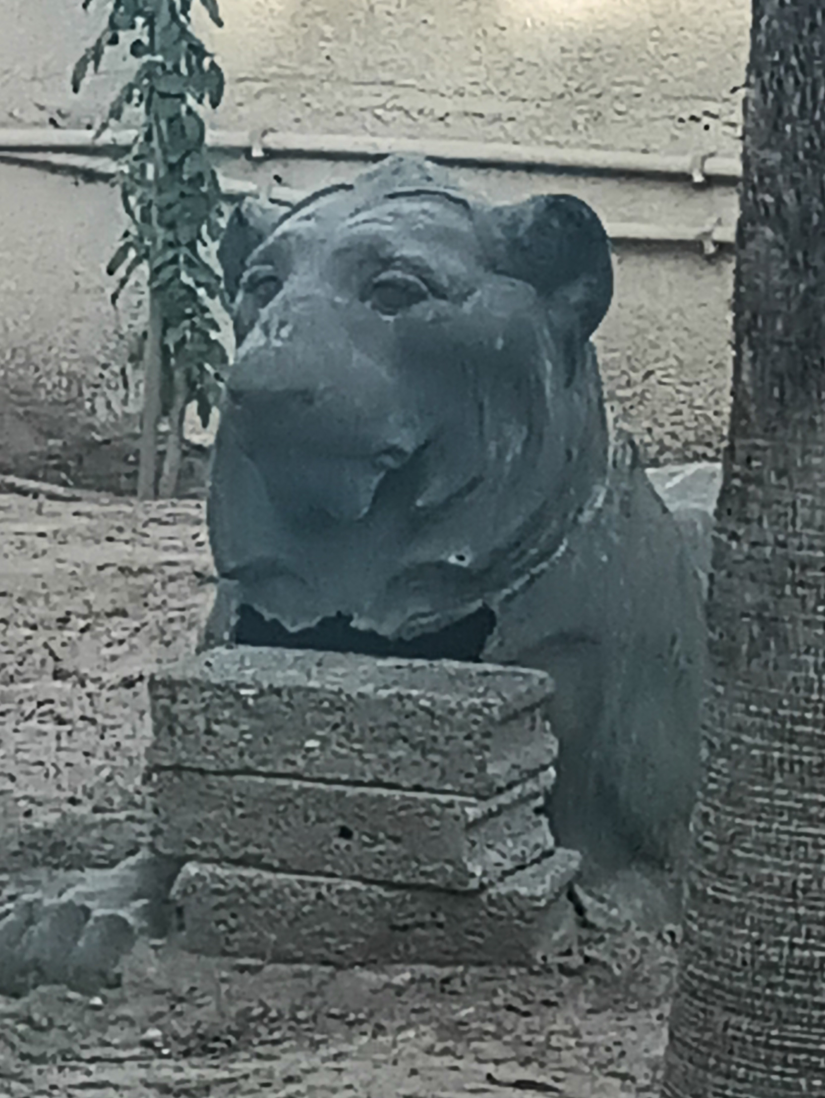 burdened Lion no concern Blank Meme Template