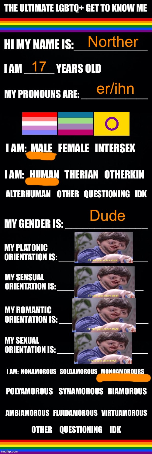 Ngl there are a dozen terms on there that I have never heard of | Norther; 17; er/ihn; Dude | image tagged in the ultimate lgbtq get to know me | made w/ Imgflip meme maker