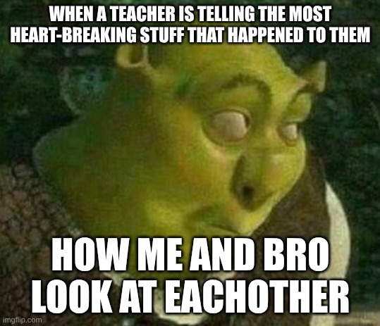 Oops shrek | WHEN A TEACHER IS TELLING THE MOST HEART-BREAKING STUFF THAT HAPPENED TO THEM; HOW ME AND BRO LOOK AT EACHOTHER | image tagged in oops shrek | made w/ Imgflip meme maker